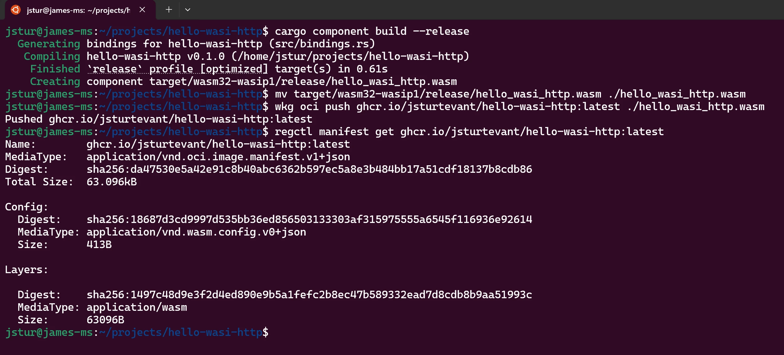 Building, pushing and viewing the Wasm OCI Artifact